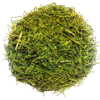 Equiseto 100g