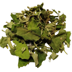 Lungenkrautkraut 100g