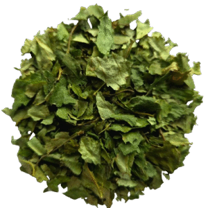 Birch Leaf 100 grams — Natural Remedy for Cleansing and Strengthening the Body